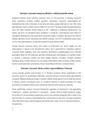 Darnaus vystymosi tikslai, reguliuojantys aplinkosauginį, socialinį arba ekonominį aspektus 3 puslapis