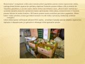 Labdaros fondo ,,Maisto bankas’’ veiklos analizė 15 puslapis