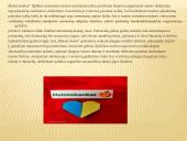 Labdaros fondo ,,Maisto bankas’’ veiklos analizė 17 puslapis