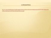 Labdaros fondo ,,Maisto bankas’’ veiklos analizė 19 puslapis