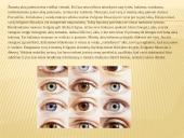 Okulestika (Akių kalba) - kūno kalbos dalis 11 puslapis