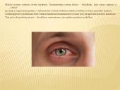 Okulestika (Akių kalba) - kūno kalbos dalis 12 puslapis