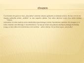 Okulestika (Akių kalba) - kūno kalbos dalis 18 puslapis