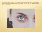 Okulestika (Akių kalba) - kūno kalbos dalis 4 puslapis