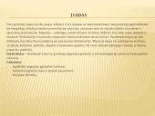 Migracijos iššūkiai ir galimybės Lietuvoje 2 puslapis