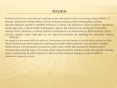 Migracijos iššūkiai ir galimybės Lietuvoje 12 puslapis