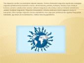 Migracijos iššūkiai ir galimybės Lietuvoje 5 puslapis