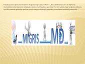 Migracijos iššūkiai ir galimybės Lietuvoje 6 puslapis