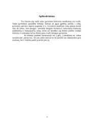 Šeima socialinio ugdymo sistemoje, jos vaidmuo pirminei pozityviajai vaiko socializacijai 9 puslapis