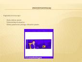 Startuolio ,,Planas chuliganas’’ ekosistema 2 puslapis