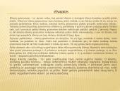 Startuolio ,,Planas chuliganas’’ ekosistema 6 puslapis