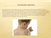 Skaidrės. Vėjaraupiai 7 puslapis