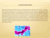 Vidurių šiltinė ir jos profilaktika 3 puslapis