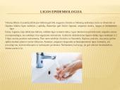 Vidurių šiltinė ir jos profilaktika 5 puslapis