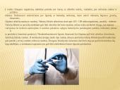 Vidurių šiltinė ir jos profilaktika 6 puslapis