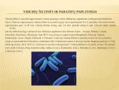 Vidurių šiltinė ir jos profilaktika 7 puslapis