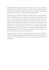 Žmogaus ryšys su gamta 2 puslapis