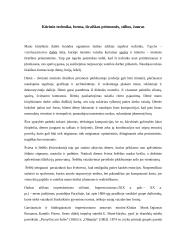 Dailės aprašas. Tapybos kūrinys 4 puslapis