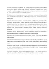 Dailės aprašas. Tapybos kūrinys 5 puslapis