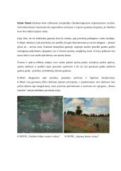 Dailės aprašas. Tapybos kūrinys 7 puslapis