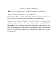 Dailės aprašas. Tapybos kūrinys 8 puslapis