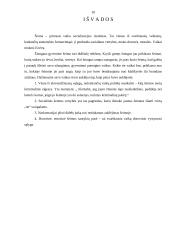 Šeimos įtaka vaiko socializacijai 11 puslapis