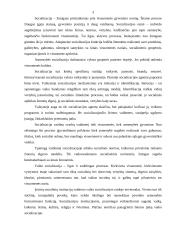 Šeimos įtaka vaiko socializacijai 4 puslapis