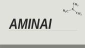 Aminai