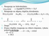 Sočiosios monokarboksirūgštys 11 puslapis