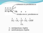 Sočiosios monokarboksirūgštys 4 puslapis
