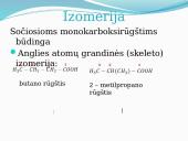 Sočiosios monokarboksirūgštys 6 puslapis