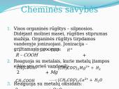 Sočiosios monokarboksirūgštys 10 puslapis