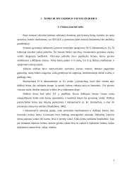 Šeimos kitimas Lietuvoje 3 puslapis