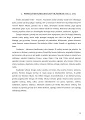 Šeimos kitimas Lietuvoje 10 puslapis