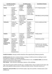 Socialinės apsaugos teisės paskaitos 11 puslapis