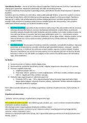 Socialinės apsaugos teisės paskaitos 12 puslapis