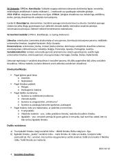 Socialinės apsaugos teisės paskaitos 13 puslapis