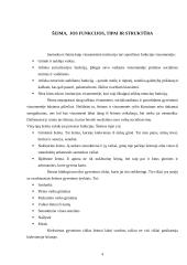 Šeimos vaidmuo visuomenėje 4 puslapis