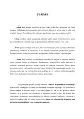 Tradicinė ir moderni šeima 2 puslapis