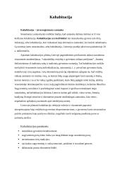 Tradicinė ir moderni šeima 4 puslapis