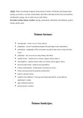 Tradicinė ir moderni šeima 7 puslapis