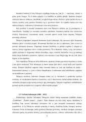 Šekspyro realizmo ypatybės 6 puslapis