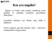 Psichosocialiniai sunkumai šeimose auginančiose neįgalų vaiką 4 puslapis