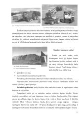 Šiaudų panaudojimas kurui 11 puslapis