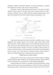 Šiaudų panaudojimas kurui 14 puslapis