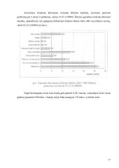 Šiaudų panaudojimas kurui 17 puslapis