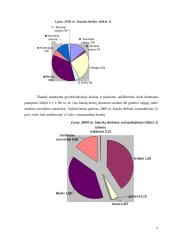 Šiaudų panaudojimas kurui 5 puslapis