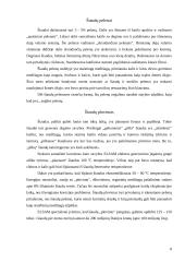 Šiaudų panaudojimas kurui 8 puslapis