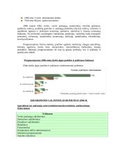 Šiaulių darbo rinka 11 puslapis