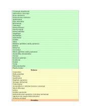 Šiaulių darbo rinka 13 puslapis